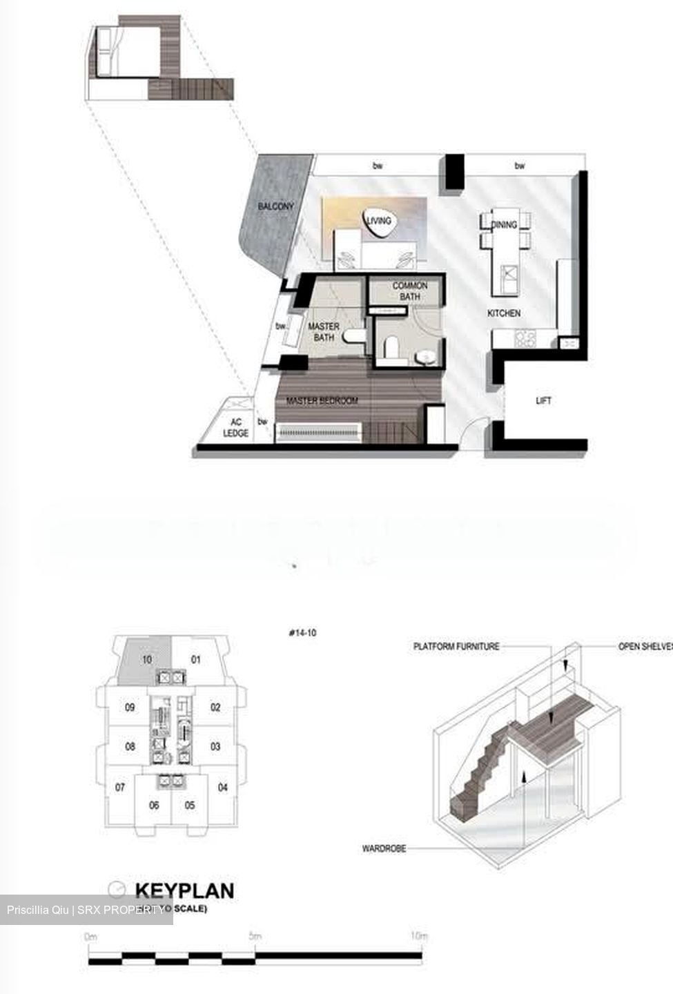 The Scotts Tower (D9), Condominium #540515891